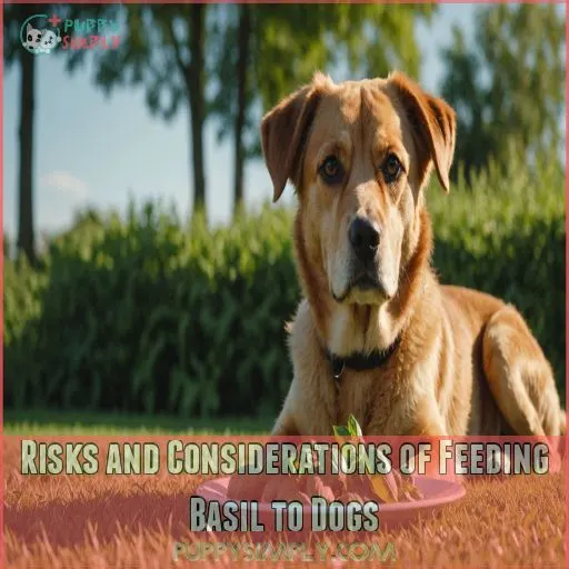 Risks and Considerations of Feeding Basil to Dogs