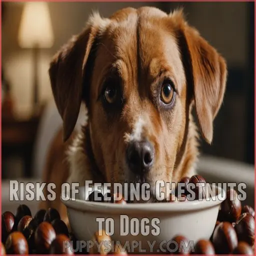 Risks of Feeding Chestnuts to Dogs