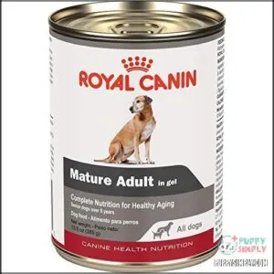 Royal Canin Canine Health Nutrition