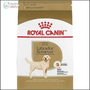 Royal Canin Labrador Retriever Adult