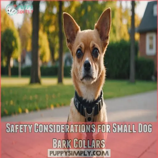 Safety Considerations for Small Dog Bark Collars