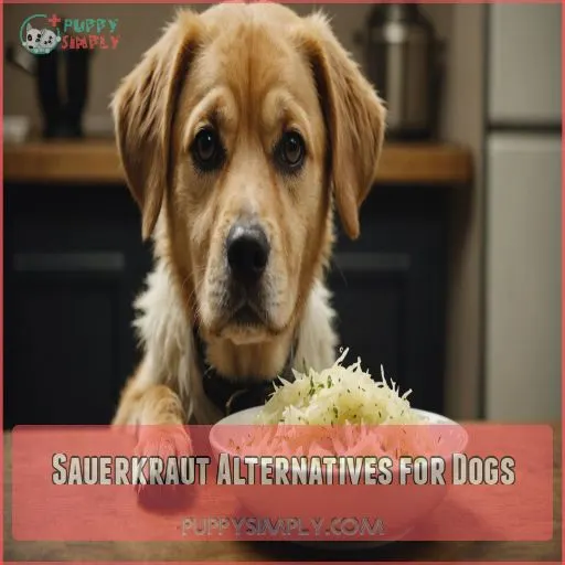 Sauerkraut Alternatives for Dogs