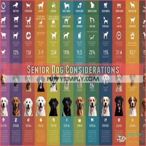 Senior Dog Considerations