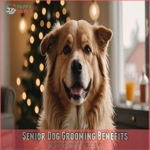 Senior Dog Grooming Benefits