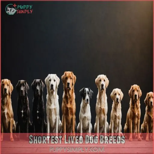 Shortest Lived Dog Breeds