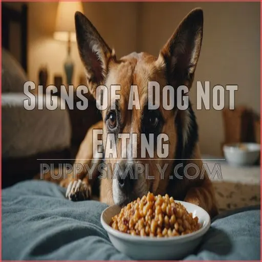 Signs of a Dog Not Eating