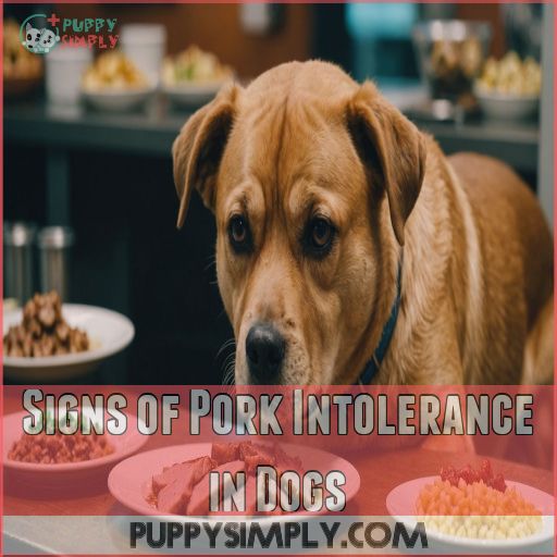 Signs of Pork Intolerance in Dogs