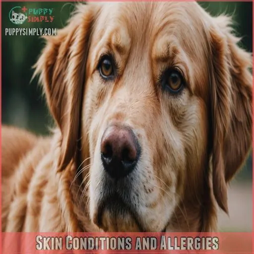 Skin Conditions and Allergies