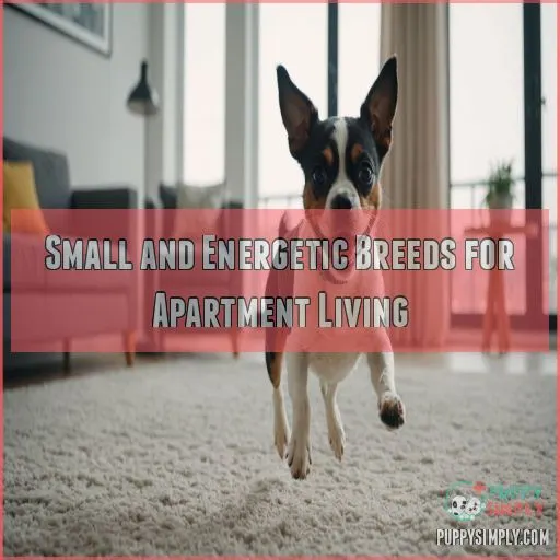 Small and Energetic Breeds for Apartment Living