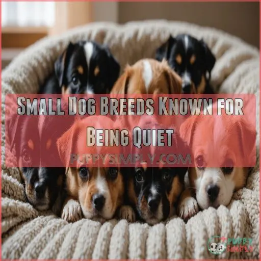 Small Dog Breeds Known for Being Quiet