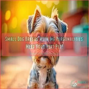 small dog breeds with big personalities