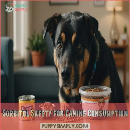 Sorbitol Safety for Canine Consumption