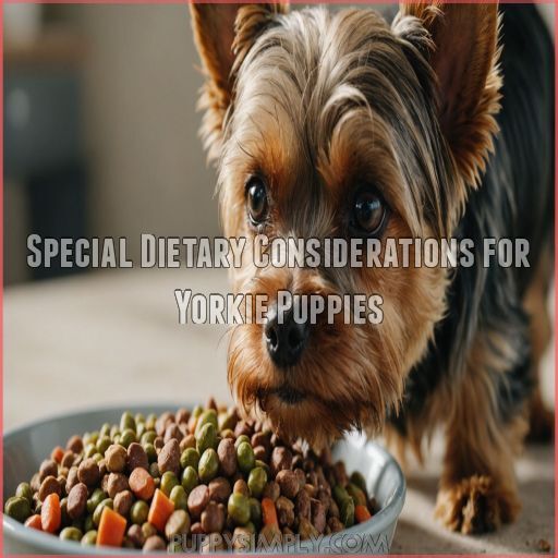 Special Dietary Considerations for Yorkie Puppies