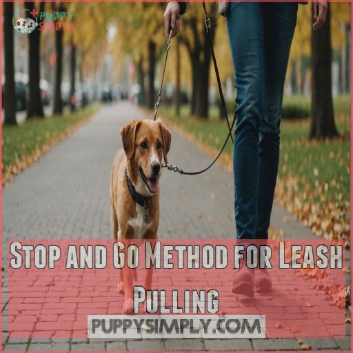Stop and Go Method for Leash Pulling Stop and Go Method for Leash Pulling