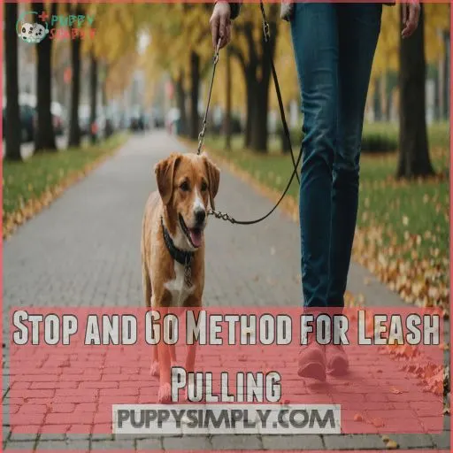 Stop and Go Method for Leash Pulling