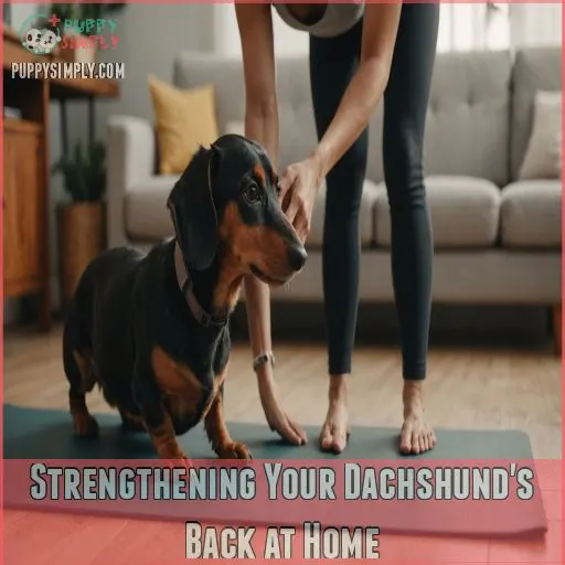 Strengthening Your Dachshund