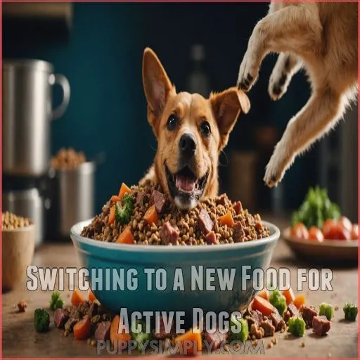 Switching to a New Food for Active Dogs