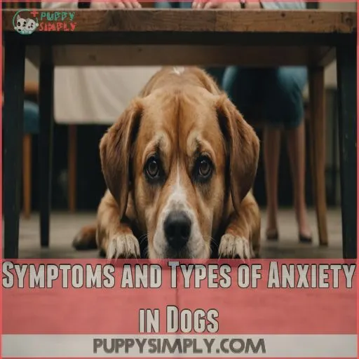 Symptoms and Types of Anxiety in Dogs