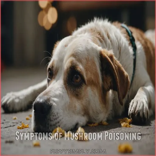 Symptoms of Mushroom Poisoning