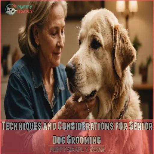 Techniques and Considerations for Senior Dog Grooming