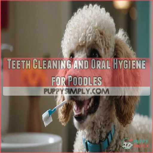 Teeth Cleaning and Oral Hygiene for Poodles