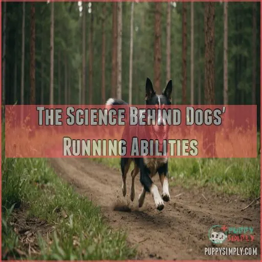 The Science Behind Dogs