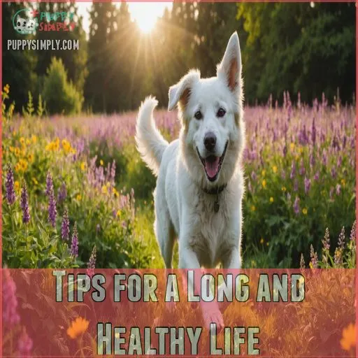 Tips for a Long and Healthy Life