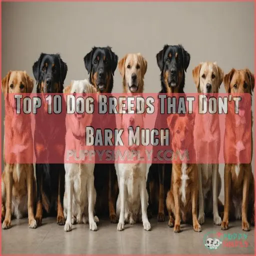 Top 10 Dog Breeds That Don