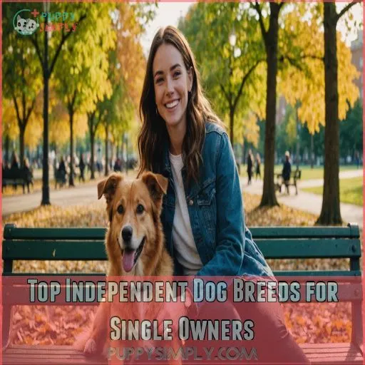 Top Independent Dog Breeds for Single Owners