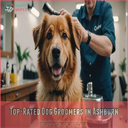 Top-Rated Dog Groomers in Ashburn