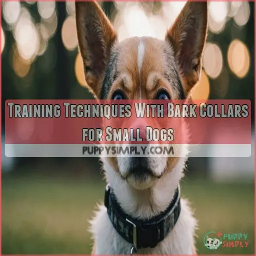 Training Techniques With Bark Collars for Small Dogs