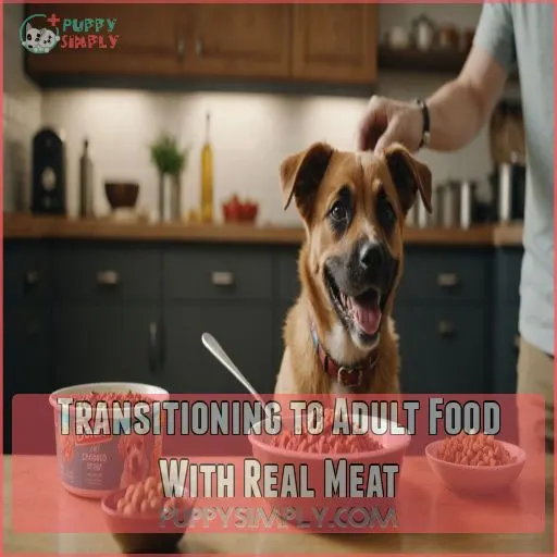 Transitioning to Adult Food With Real Meat