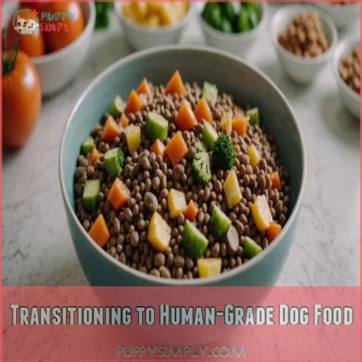 Transitioning to Human-Grade Dog Food