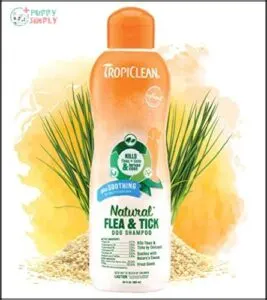 TropiClean Soothing Natural Flea and