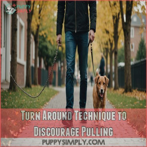 Turn Around Technique to Discourage Pulling Turn Around Technique to Discourage Pulling