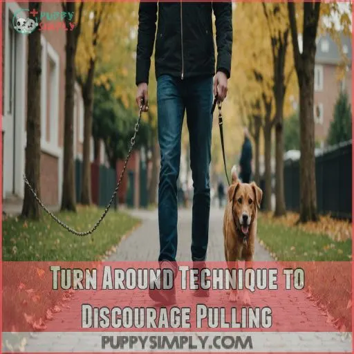 Turn Around Technique to Discourage Pulling