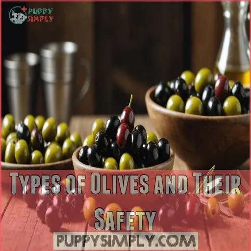 Types of Olives and Their Safety