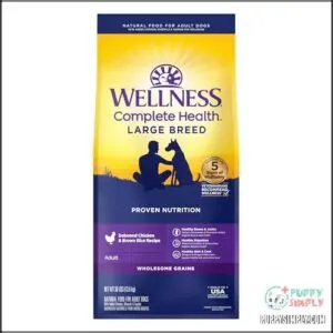 Wellness Complete Health Large Breed