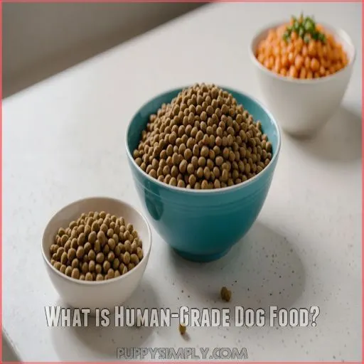 What is Human-Grade Dog Food