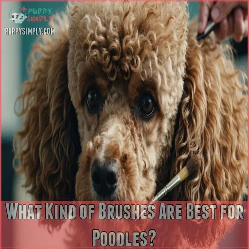 What Kind of Brushes Are Best for Poodles