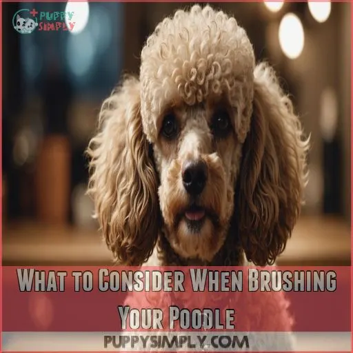 What to Consider When Brushing Your Poodle