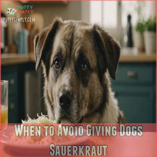 When to Avoid Giving Dogs Sauerkraut