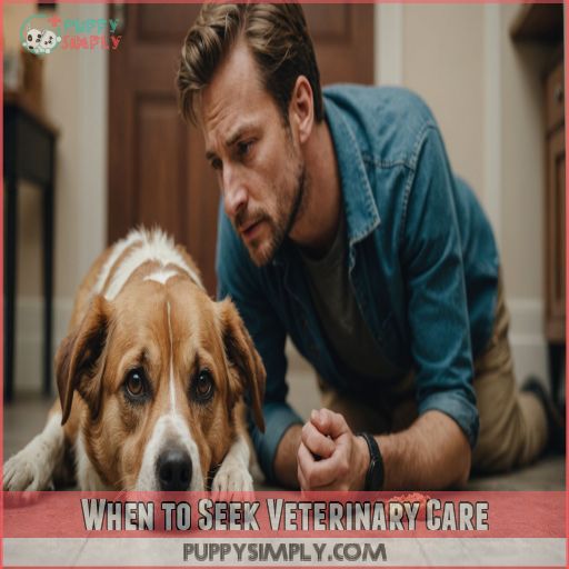 When to Seek Veterinary Care