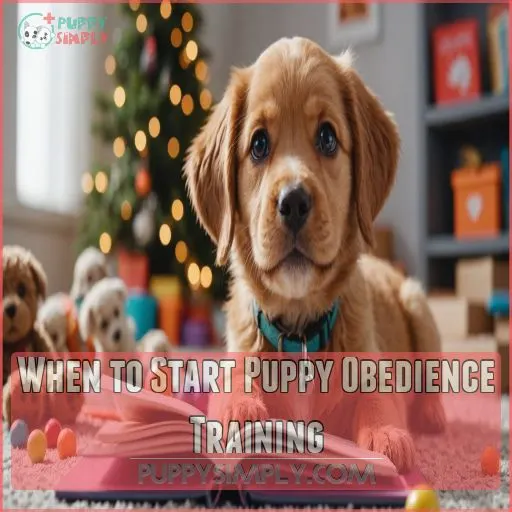 When to Start Puppy Obedience Training