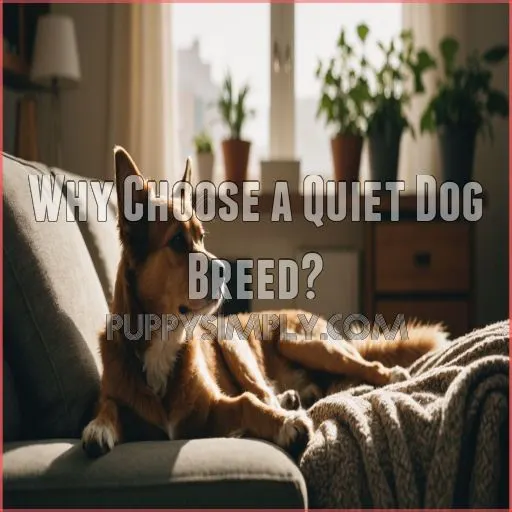 Why Choose a Quiet Dog Breed