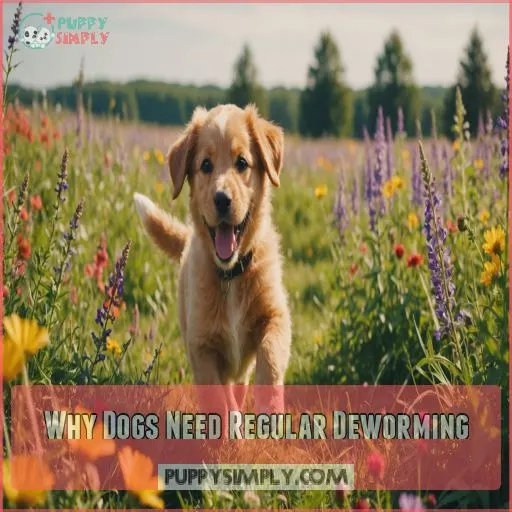 Why Dogs Need Regular Deworming