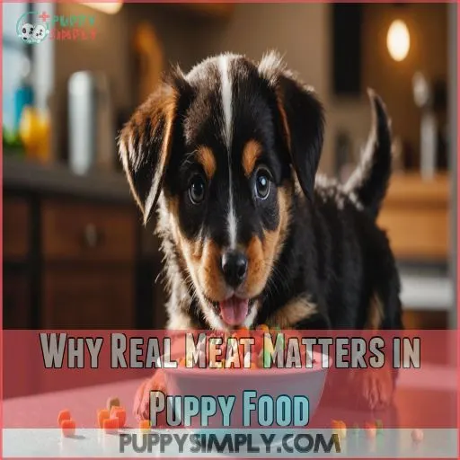 Why Real Meat Matters in Puppy Food