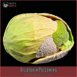 Aflatoxin Poisoning