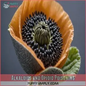 Alkaloids and Opioid Poisoning