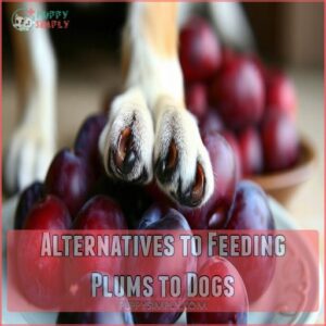 Alternatives to Feeding Plums to Dogs